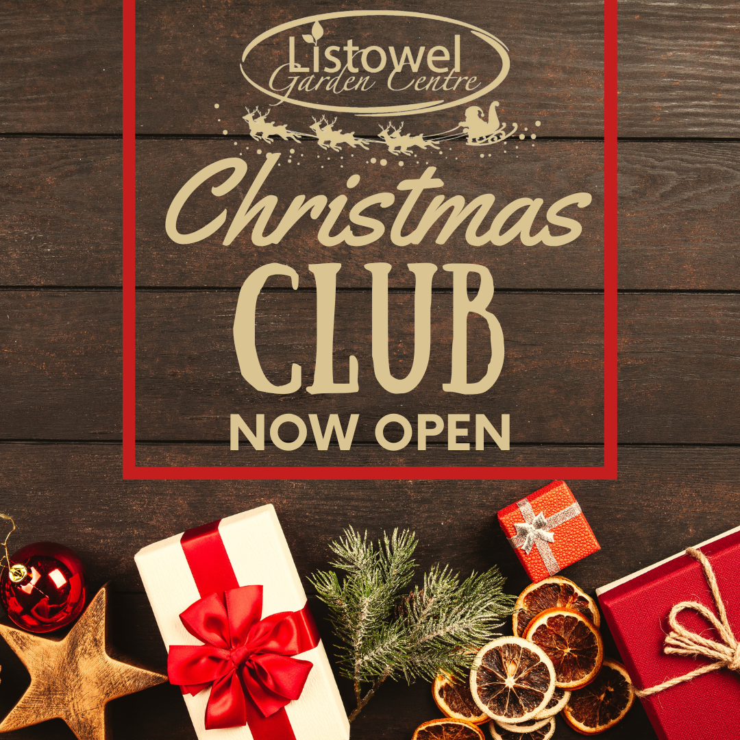 Our Christmas Club is now open!