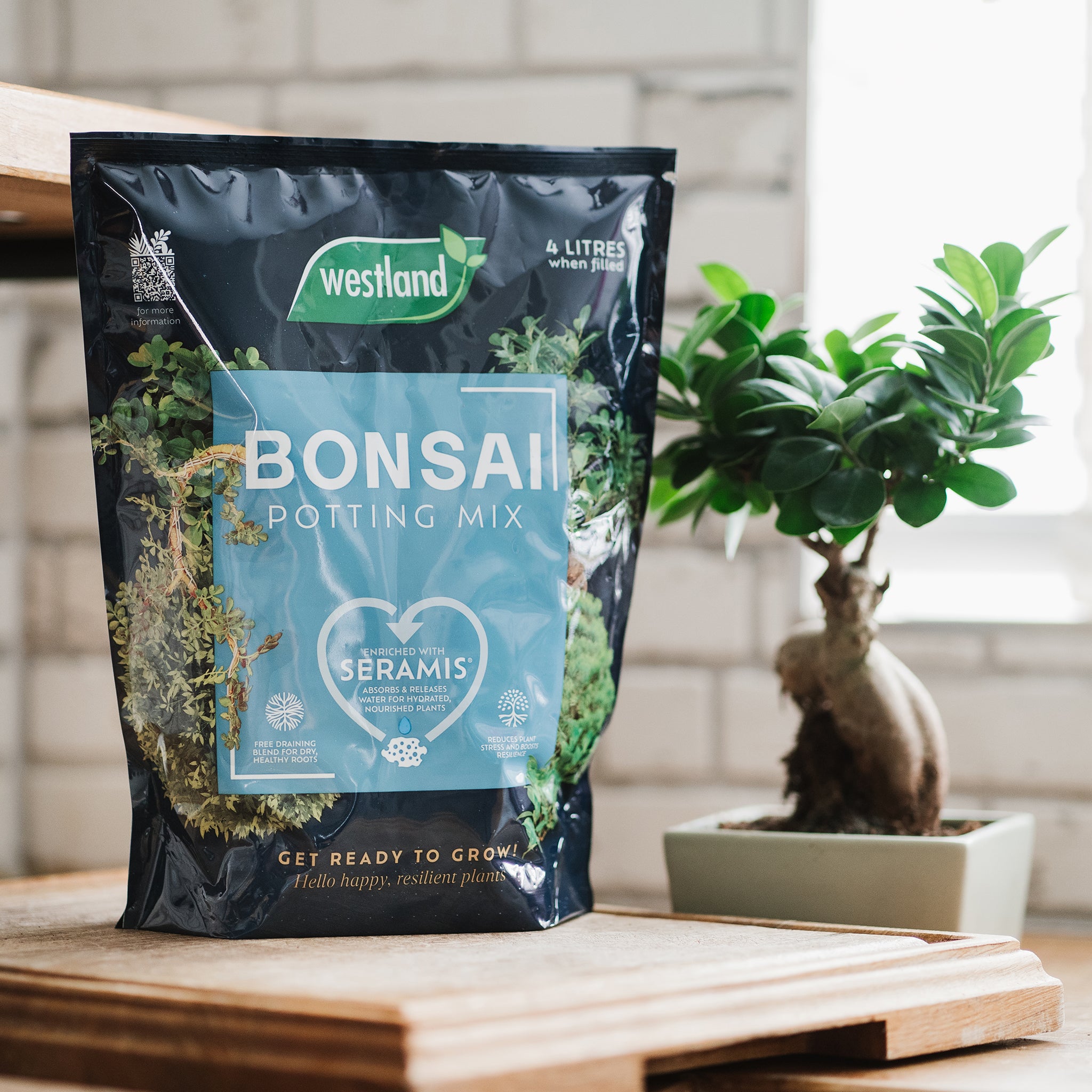 Westland Bonsai Potting Mix 4L