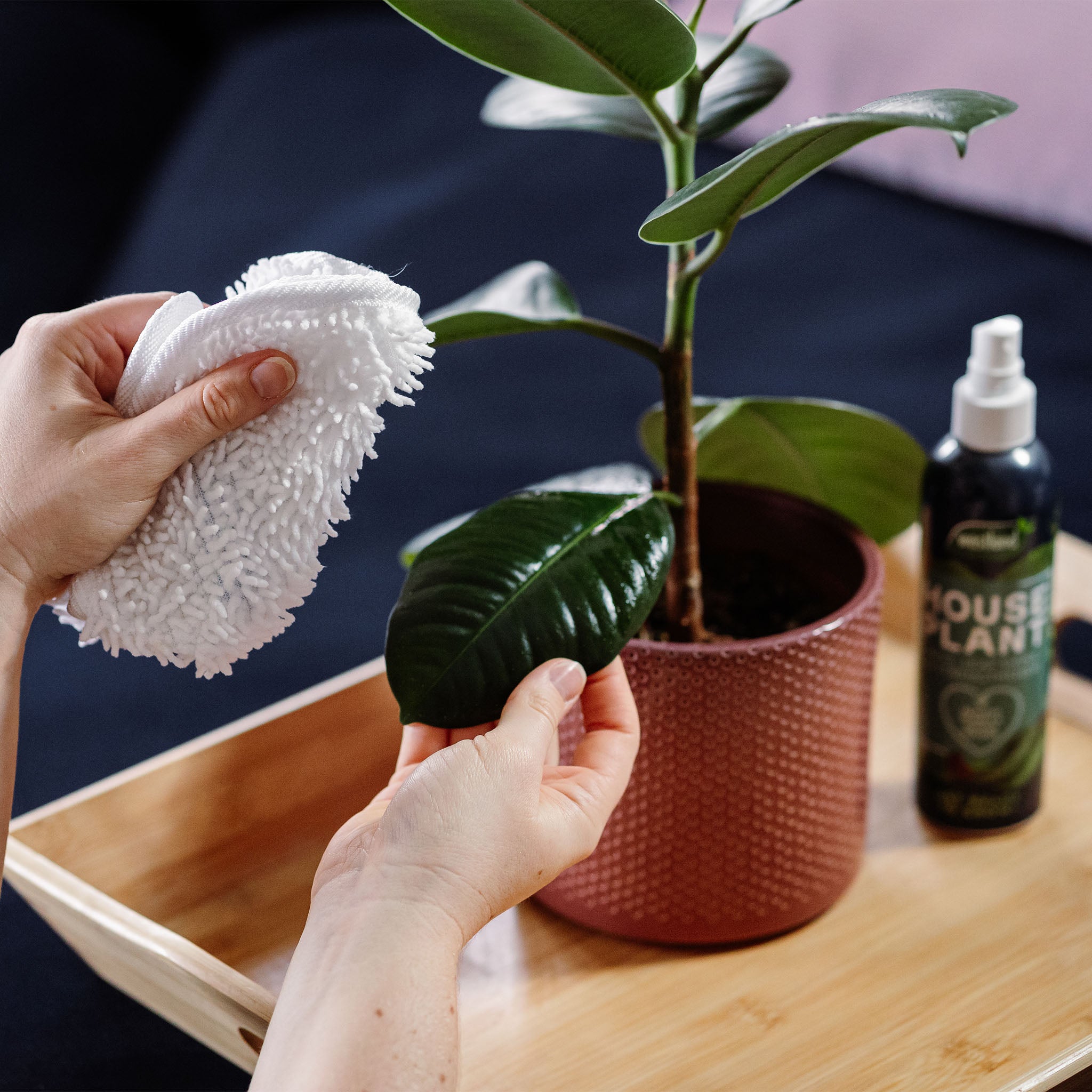 Westland Houseplant Mist & Leaf Shine