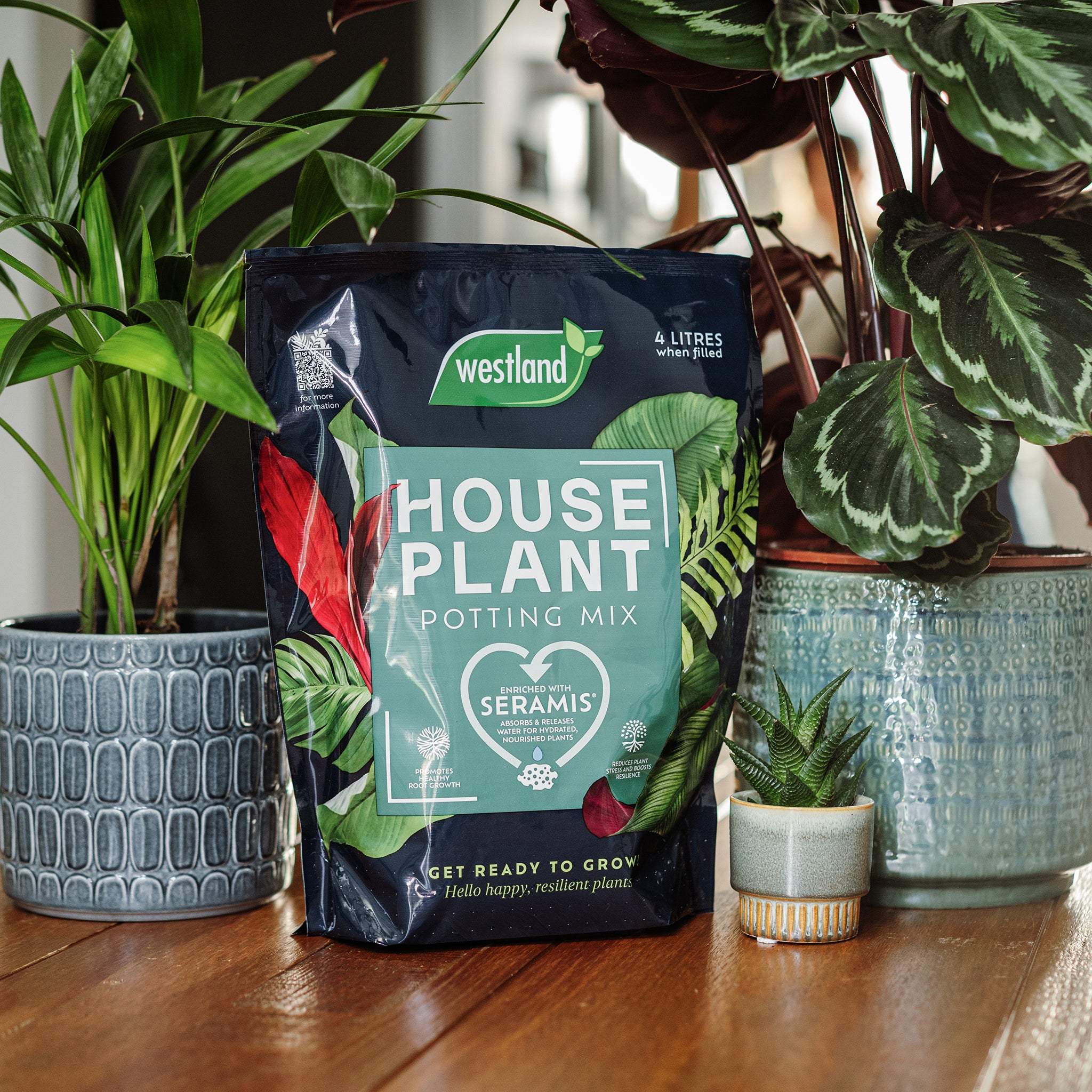 Westland Houseplant Potting Mix 4L