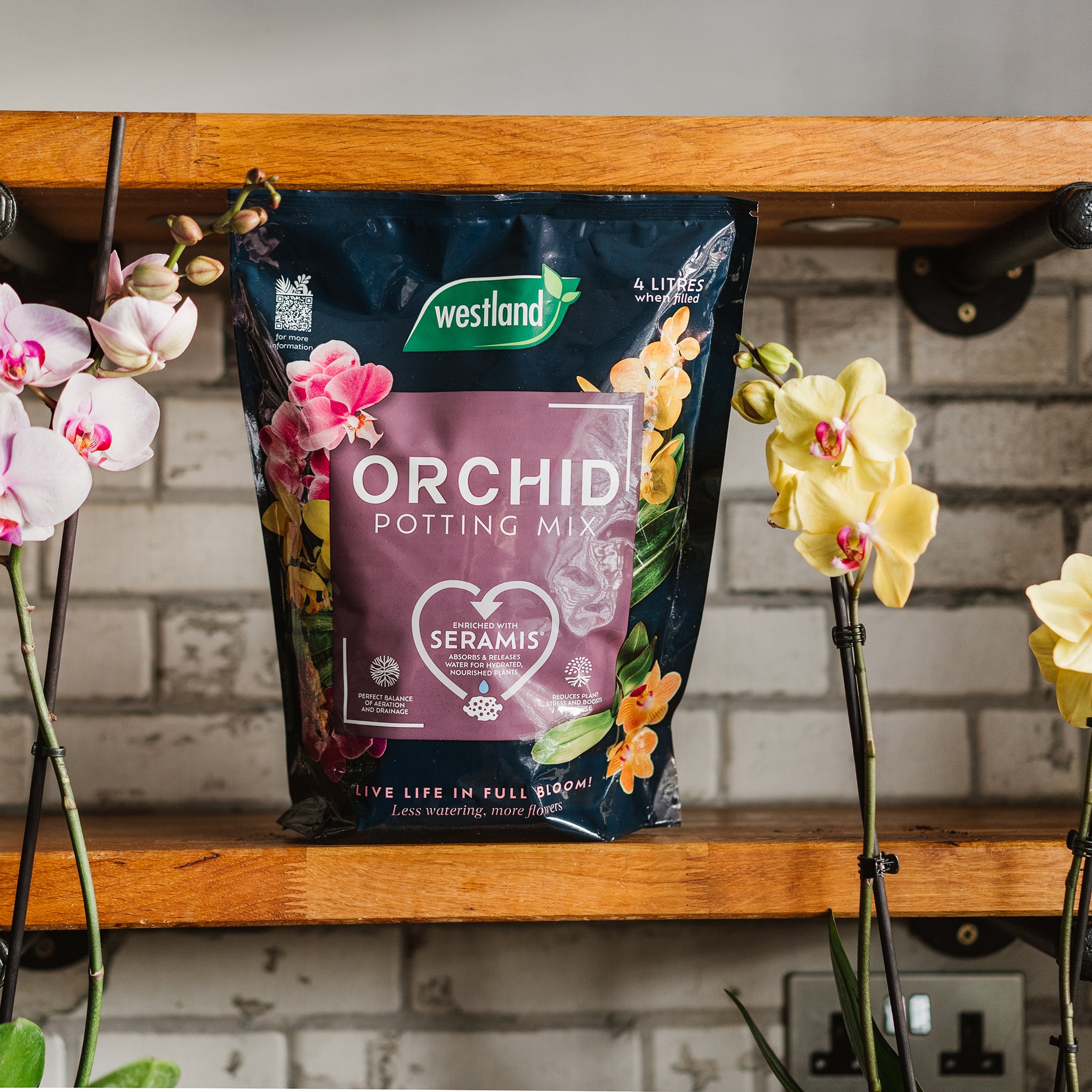 Westland Orchid Potting Mix 4L