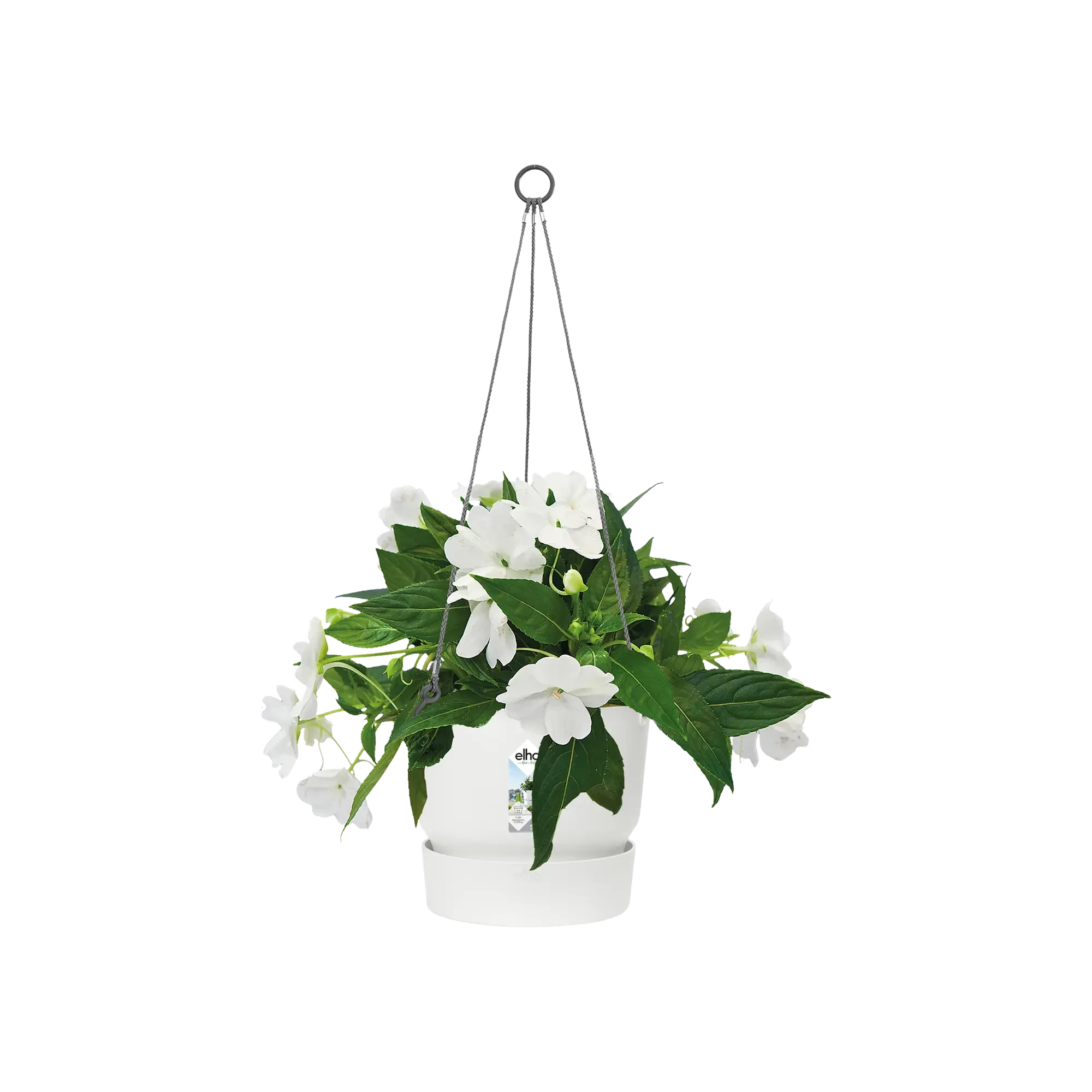 Greenville Hanging Basket 24Cm (White)