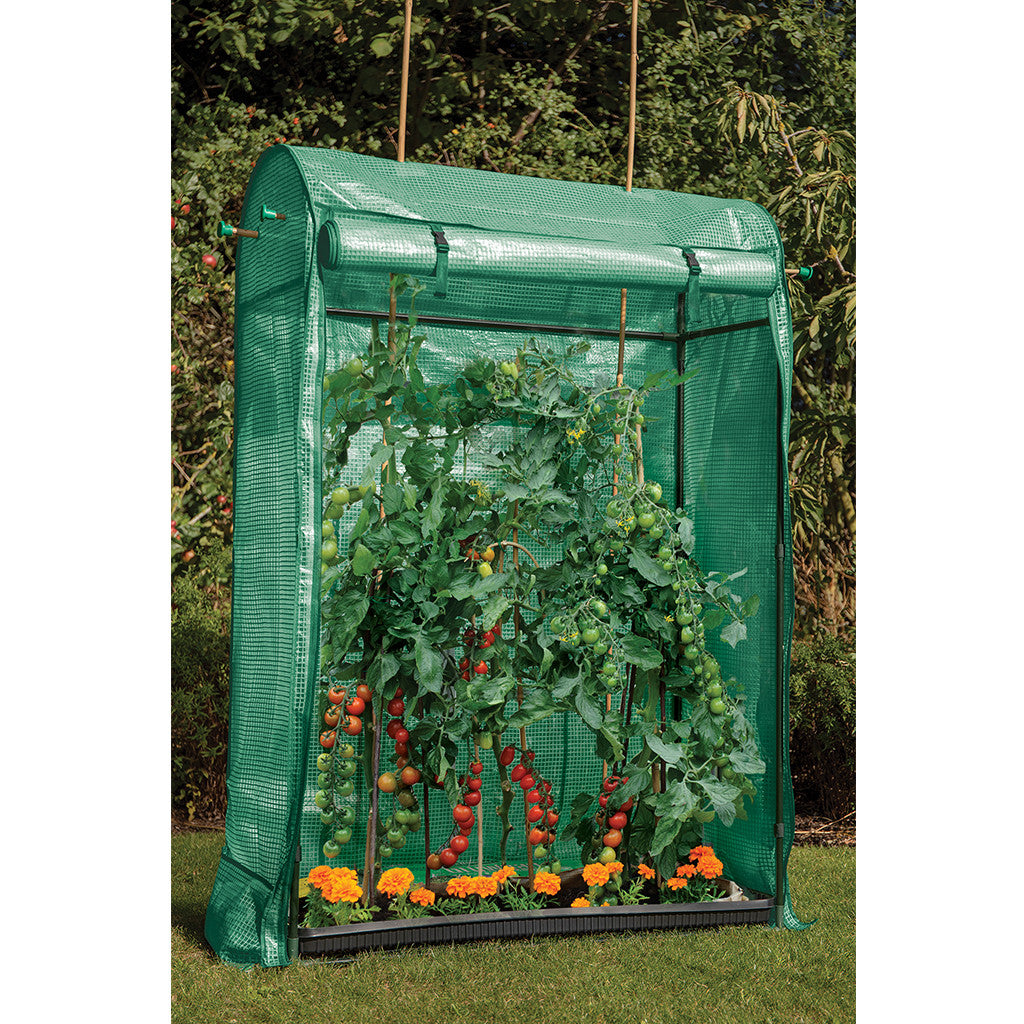 GI Premium Tomato Growhouse