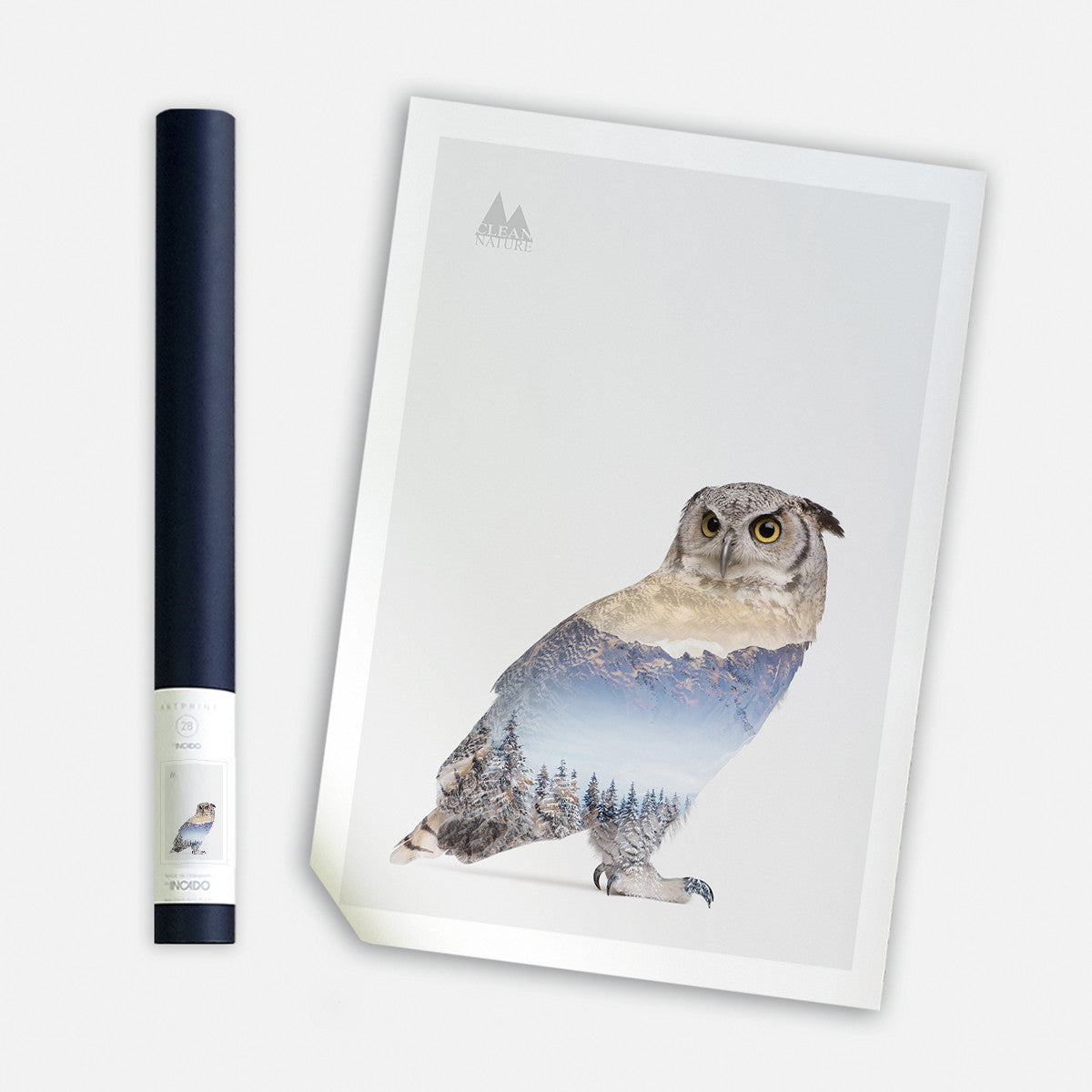 Snow Owl I, 50cmx70cm wall art