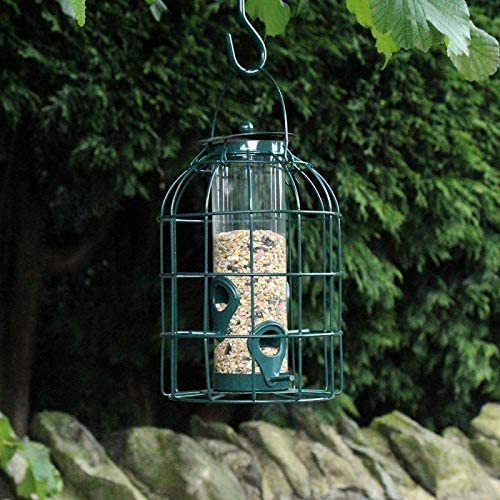 Natures Market Seed Feeder With Squirrel Cage