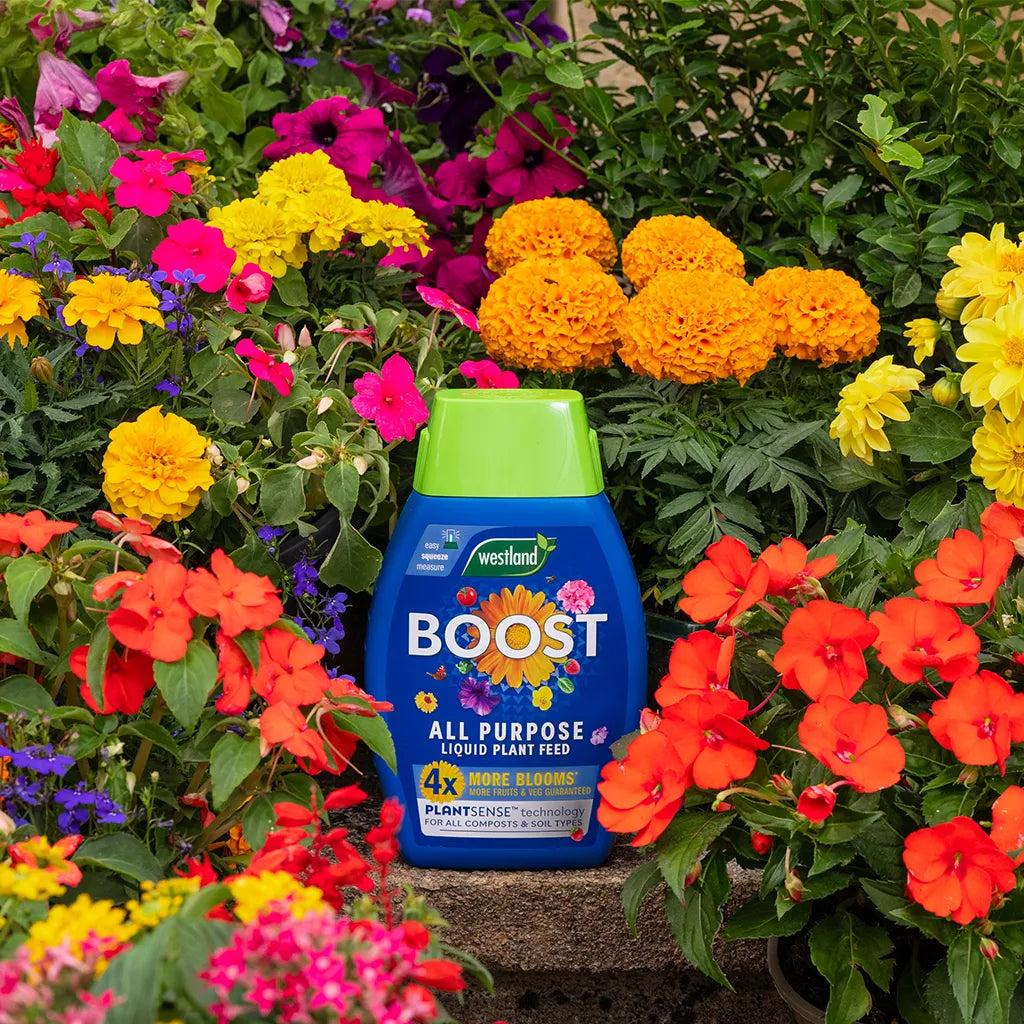 Westland Boost All Purpose Liquid Plant Feed