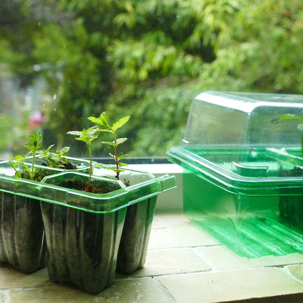 Gro-Sure Visiroot Windowsill Propagator Set