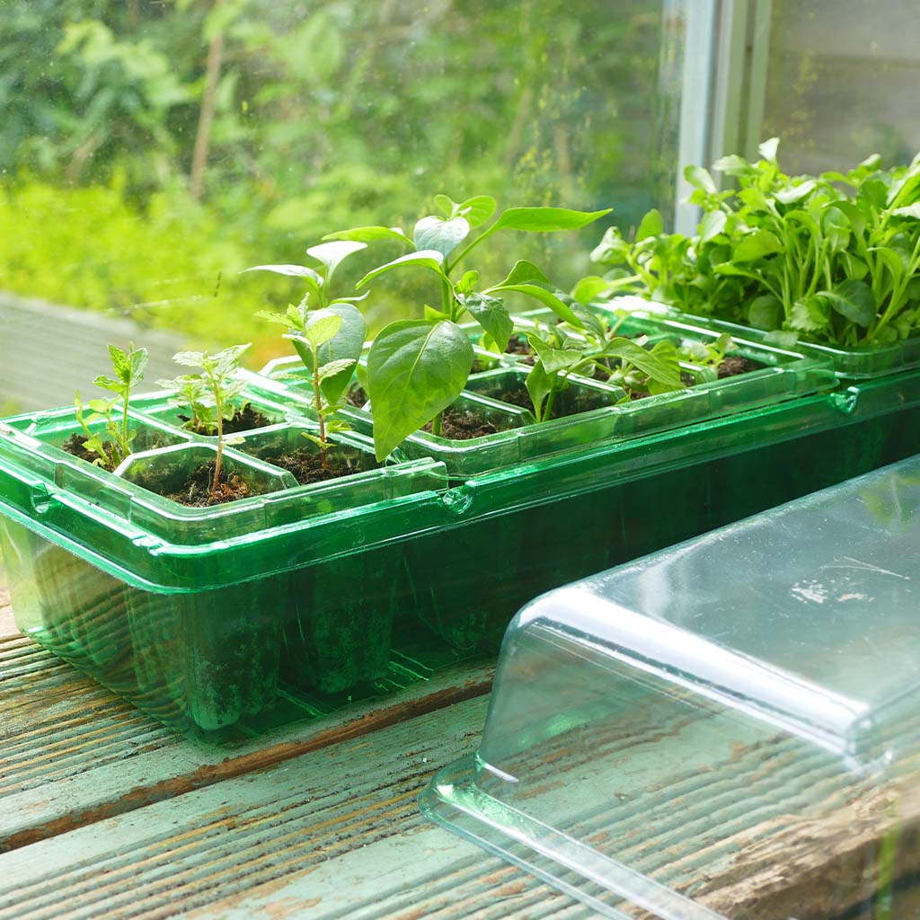 Gro-Sure Visiroot Windowsill Propagator Set